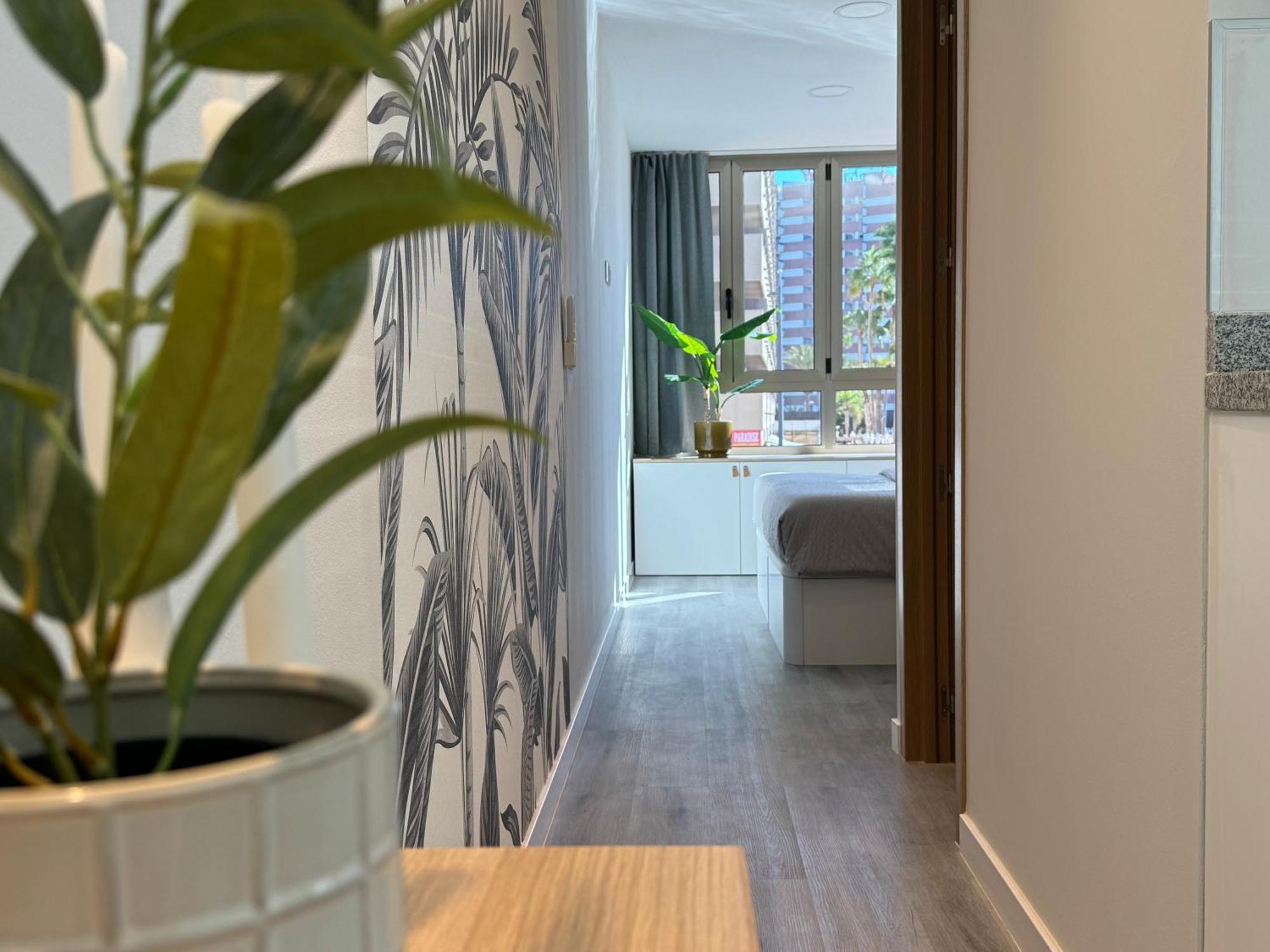 Apartament Danubio Estudios 107 *