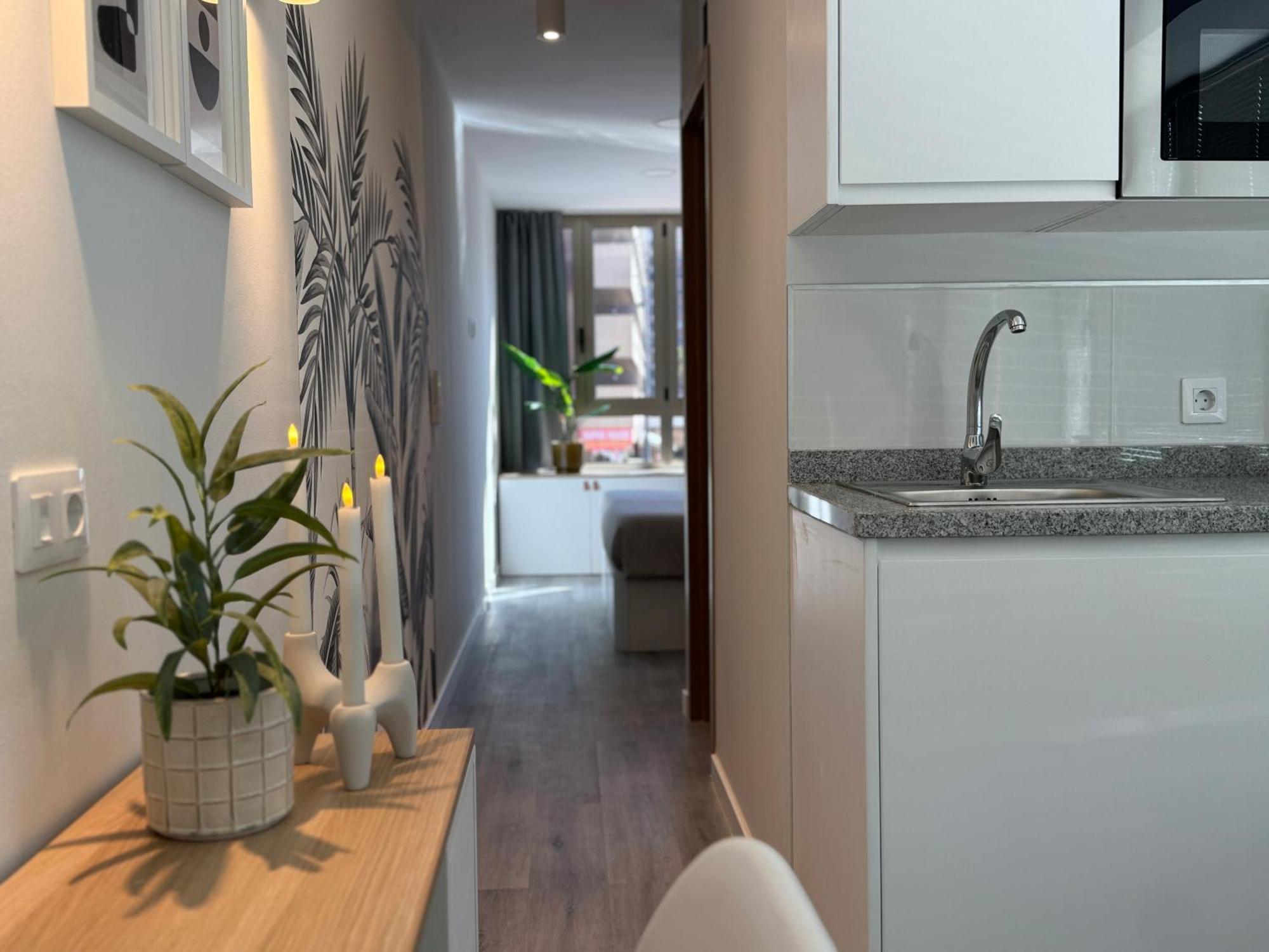 Apartamento Danubio Estudios 107 *